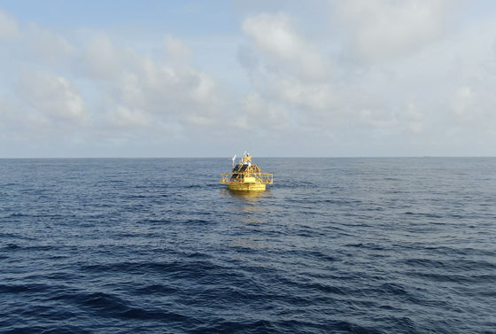 Mamalia Laut China Monitoring Buoy Pengamatan Kualitas Air